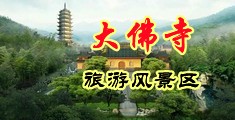 肥熟浪妇中国浙江-新昌大佛寺旅游风景区